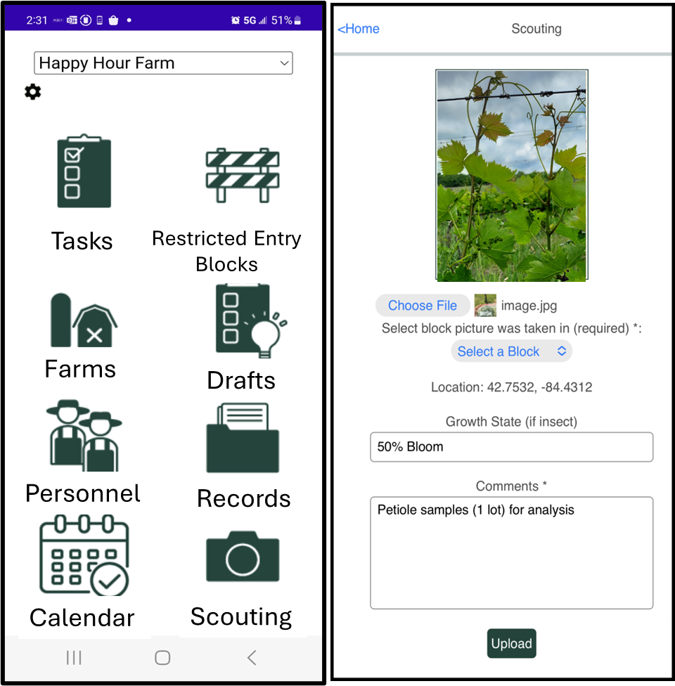 For decorative purposes.